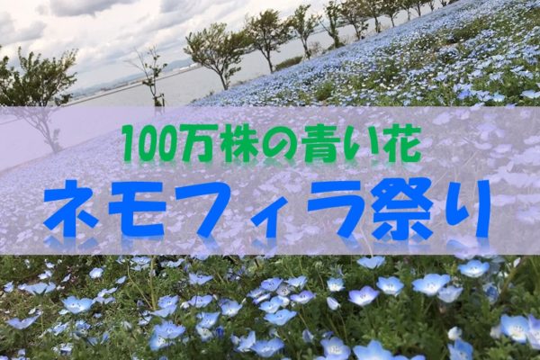 100万株の青い花『ネモフィラ祭り』